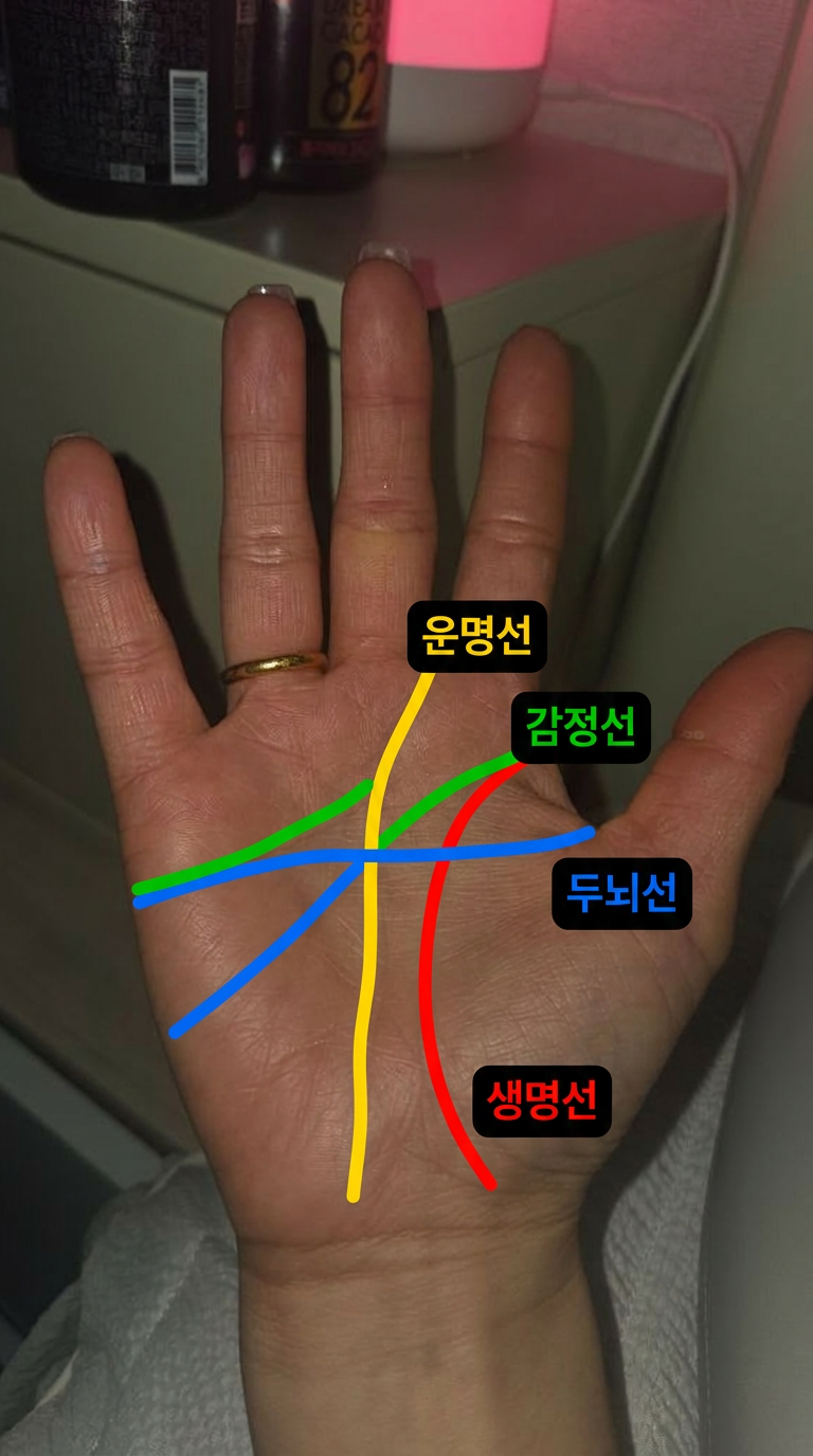 손금 분석 결과