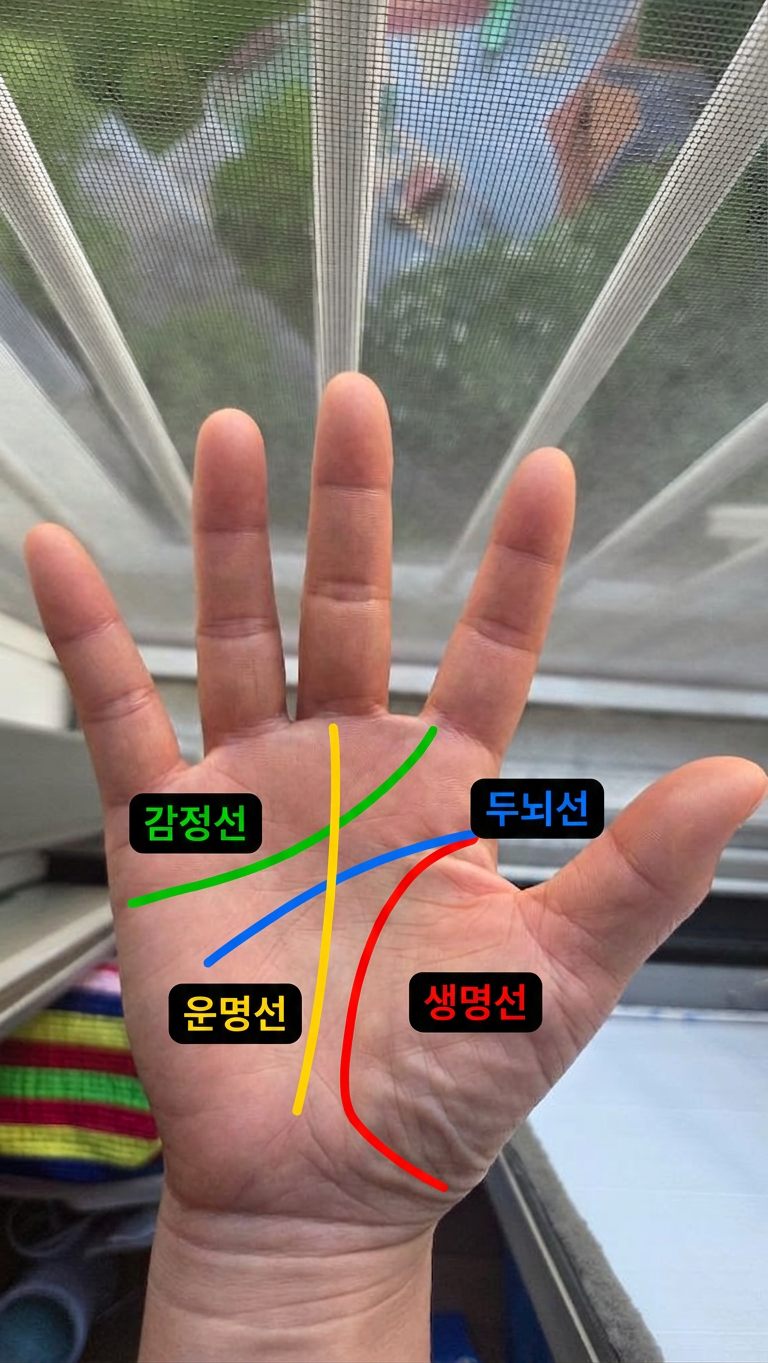 손금 분석 결과