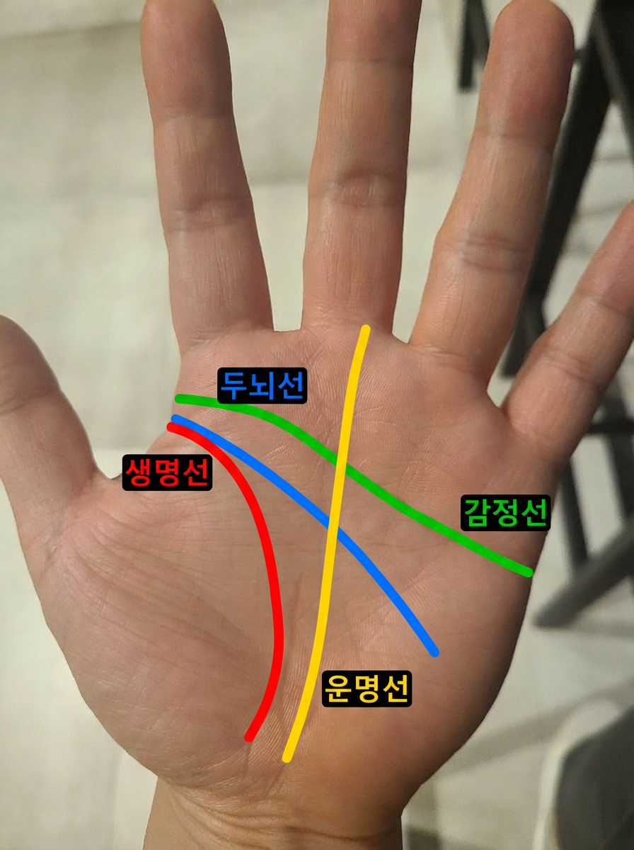 손금 분석 결과