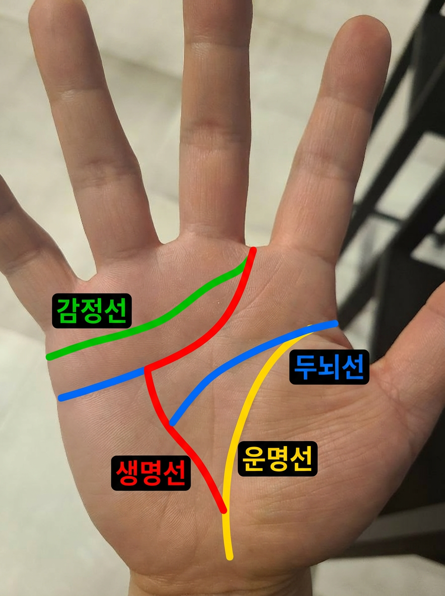 손금 분석 결과