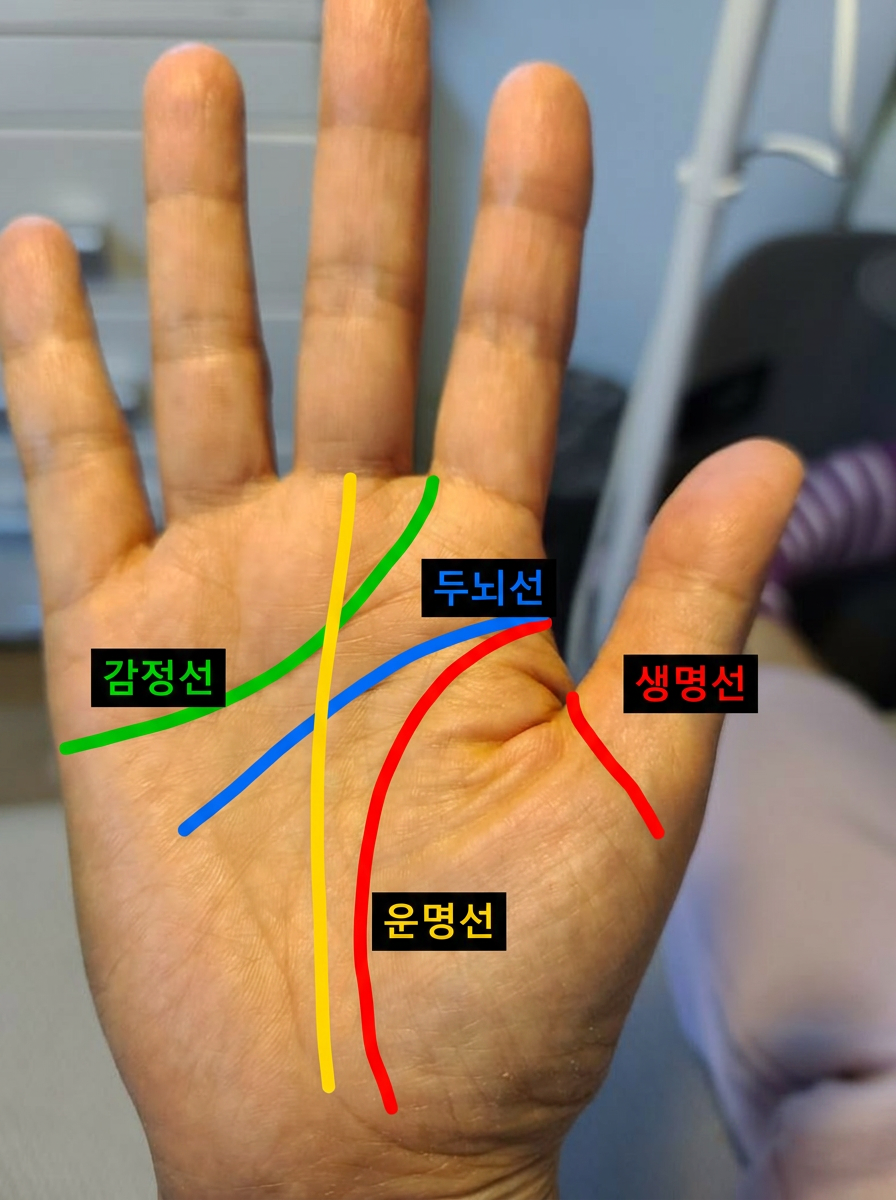손금 분석 결과